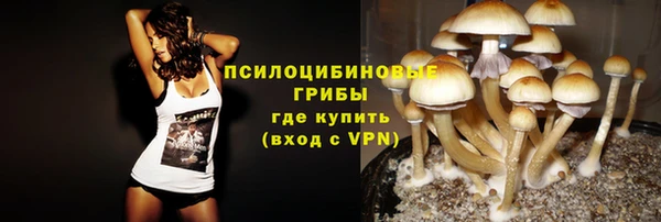 первитин Алексеевка