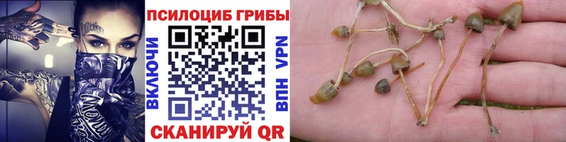 mega ONION  Устюжна  Галлюциногенные грибы MAGIC MUSHROOMS  закладка 
